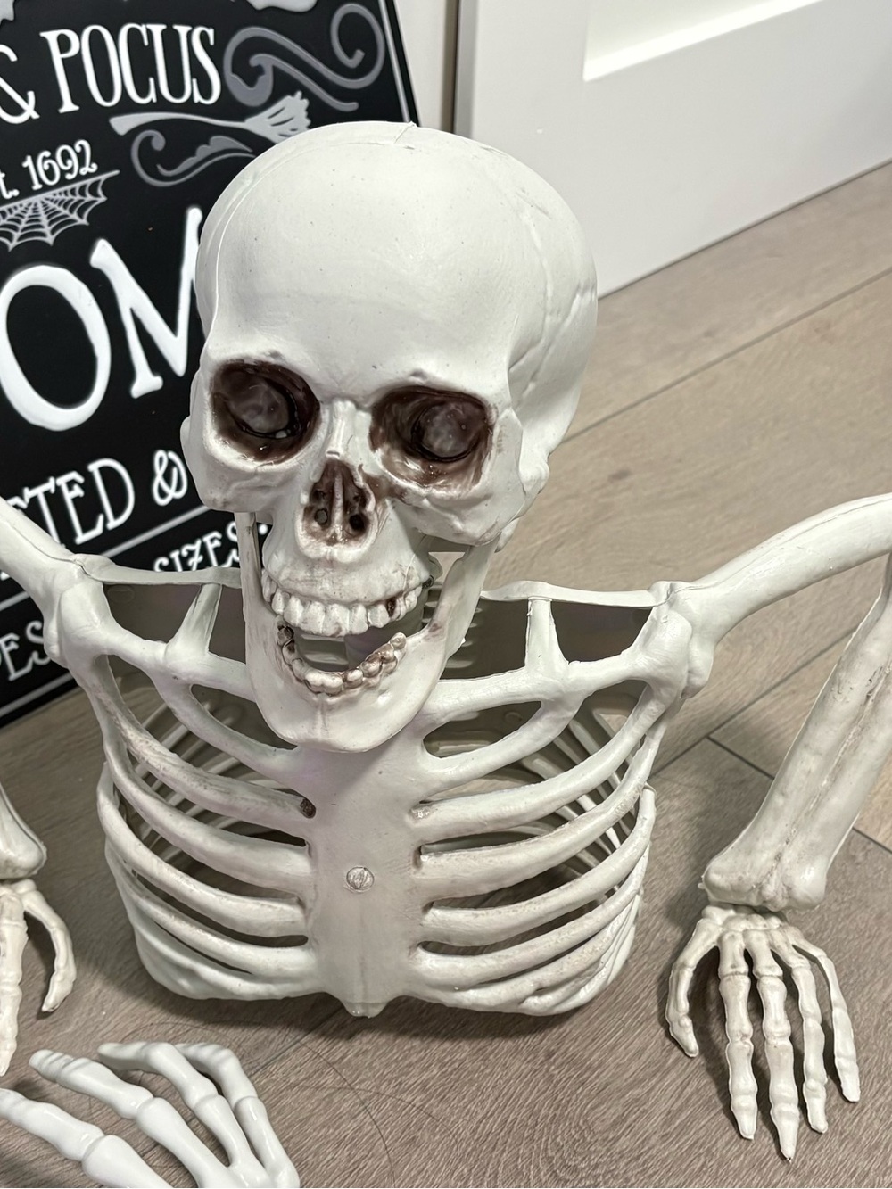 White Decorative Skeleton Torso